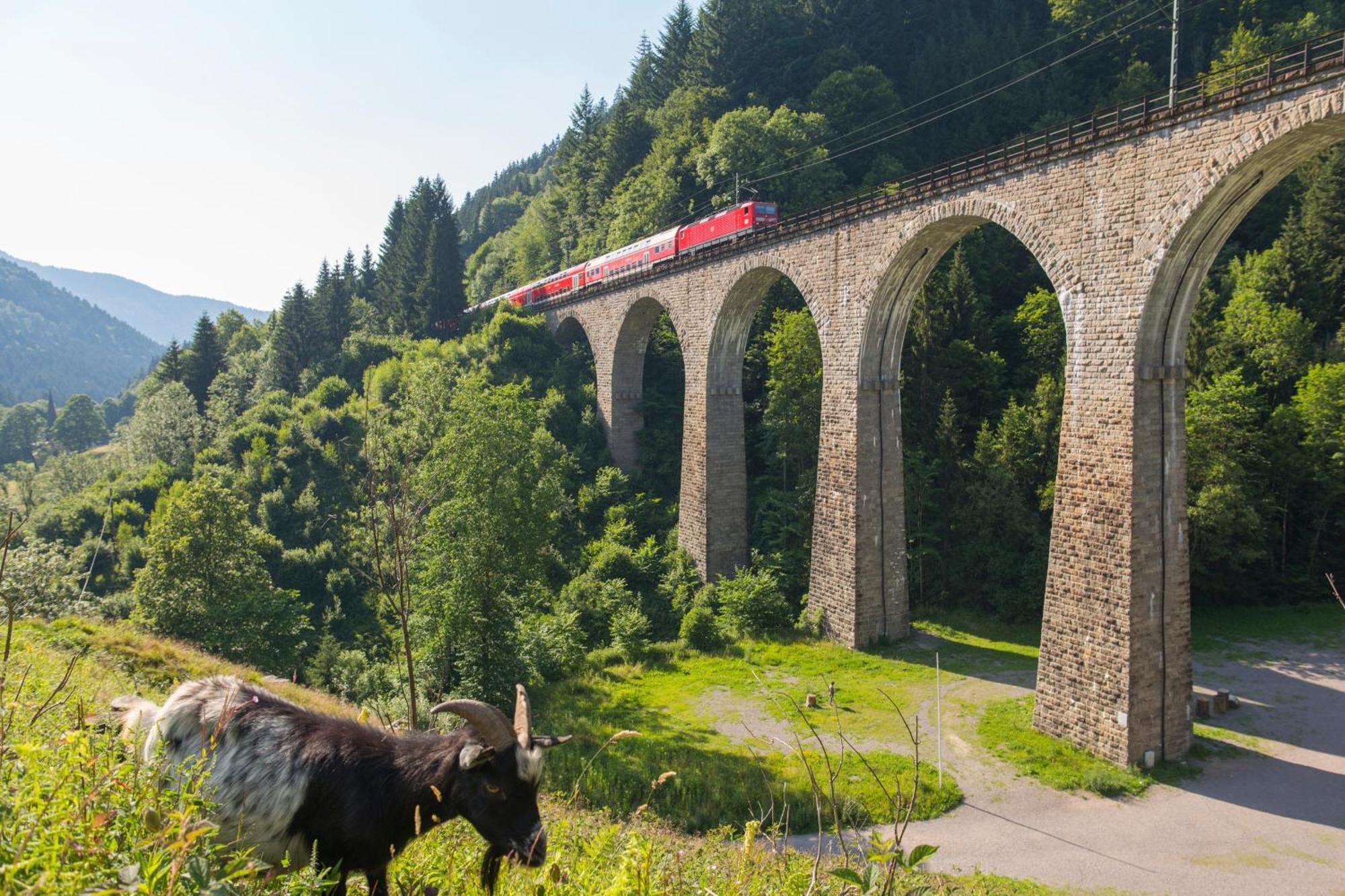 Haus Findling, 10 Personen, Schluchsee, Hochschwarzwaldkarte Kültér fotó