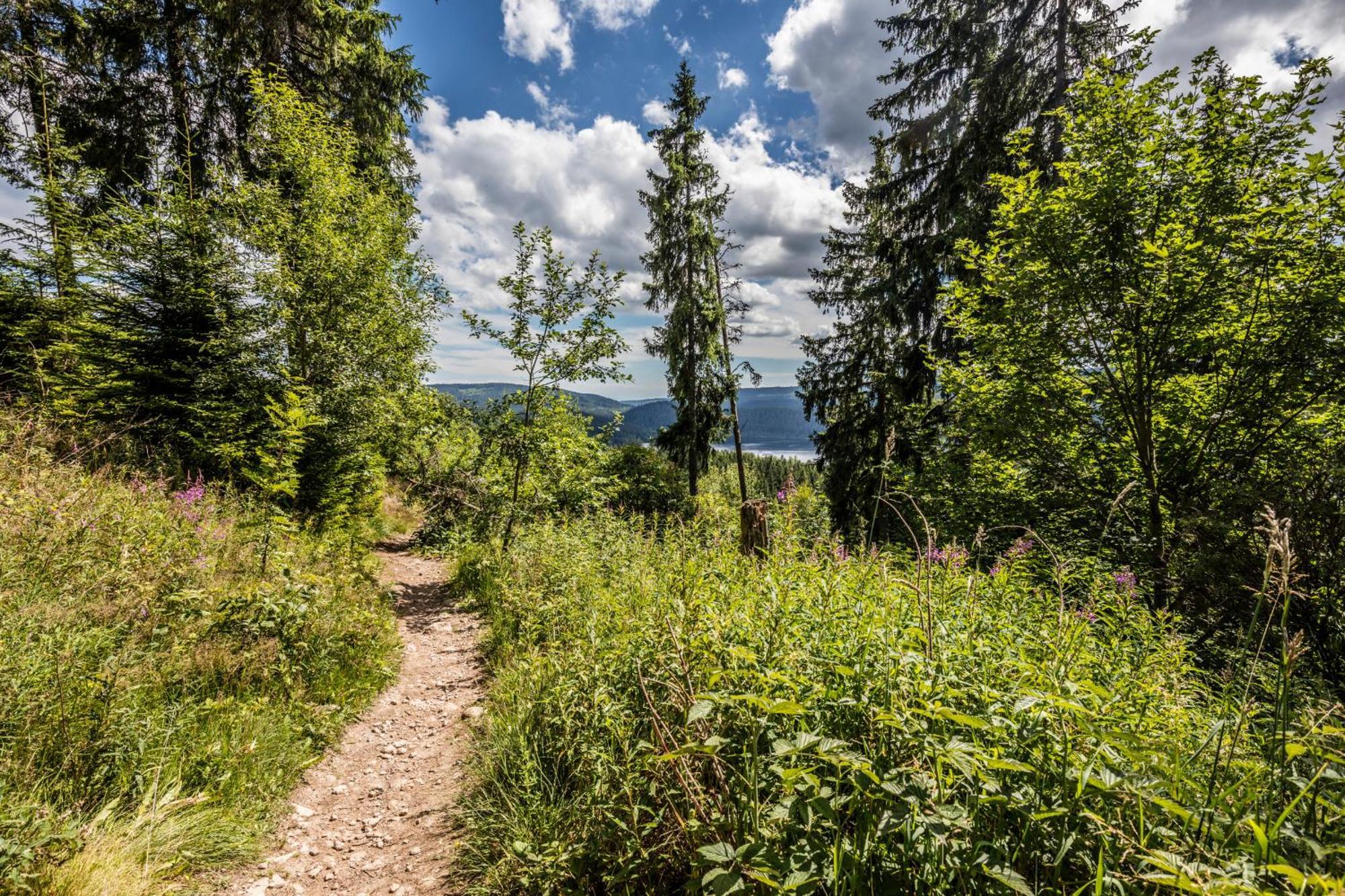 Haus Findling, 10 Personen, Schluchsee, Hochschwarzwaldkarte Kültér fotó